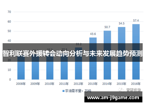 智利联赛外援转会动向分析与未来发展趋势预测 智利联赛外援转会动向分析与未来发展趋势预测