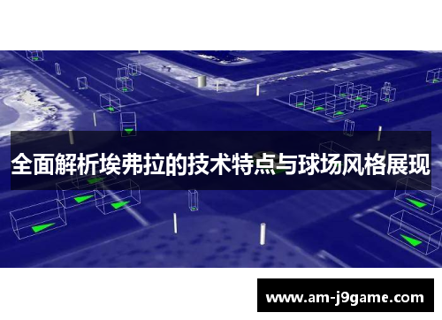 全面解析埃弗拉的技术特点与球场风格展现 全面解析埃弗拉的技术特点与球场风格展现