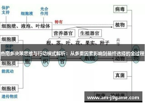 费南多决策思维与行动模式解析：从多重因素影响到最终选择的全过程
